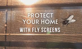 Pests With Fly Screens