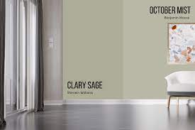 Sherwin Williams Clary Sage Review