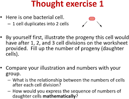 Slide Presented In Miguel S Instruction