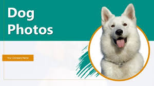 Dog Powerpoint Templates Slides And