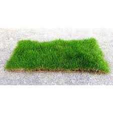 Japanese Grass Carpet