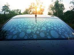 Windshield Tint On Your Car