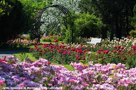 Exploring The Montréal Botanical Garden