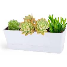 Cubilan Herb Planter With Tray 1 Pack