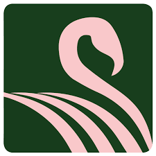 Home Flamingo Custom Pools