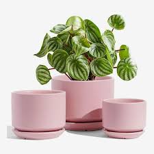 46 Best Pots And Planters On