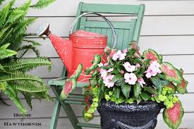 Container Gardens