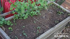 How Much Soil Should You Put In A Pot