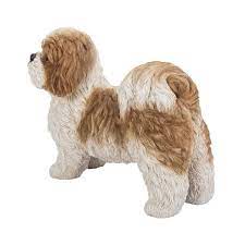 Hi Line Gift Brown White Standing Shih Tzu