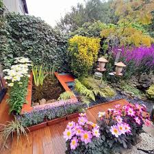 The Summer Garden The Easy Care Garden