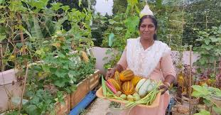 Organic Fruits Veggies On Her Terrace