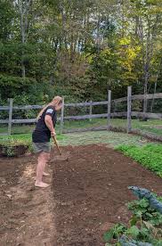 Planting A Cover Crop In A Home Garden