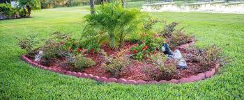 Simple Landscaping Ideas For Beginners