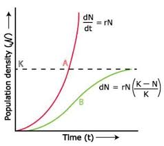 Population Growth Curves