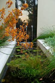 Dalkeith Garden Cultivart Landscape