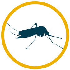 Pest Control Termite Protection Lawn
