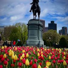 Public Rooftop Gardens In Boston Ma