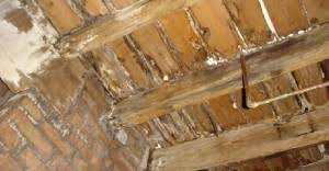 dry rot in roof timbers
