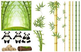 Panda And Bamboo 591194 Vector Art