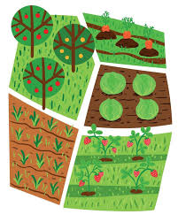 Garden Bed Vector Art Icons And