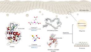 Scalable And Versatile 2d Protein S