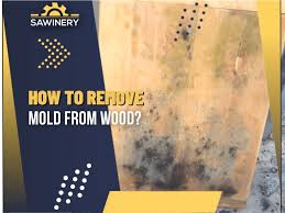 how to remove mold from wood steps