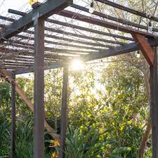 25 perfect pergola ideas for your backyard