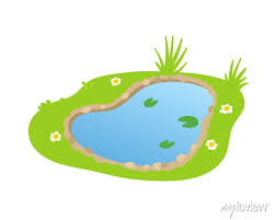 Cartoon Garden Pond Small Lake In Flat