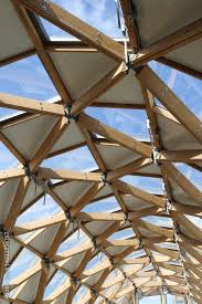 timber beams of a curved roof with