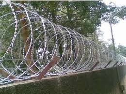 Mild Steel Galvanized Blade Wire Fence