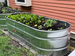 Creating A Raised Garden Bed Concord