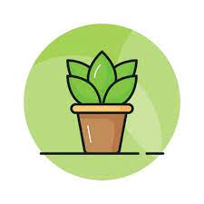 Outdoor Decorative Plant An Icon Of