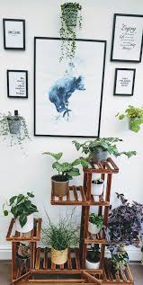 Easy House Plant Display Ideas The