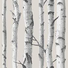 Nuwallpaper Birch Tree Multi Color