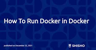 how to run docker in docker shisho