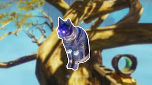 Destiny 2 A Small Gift All Cat