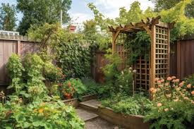 A Garden With A Tall Wooden Fence And
