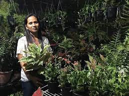 A Business Taking Roots With Plants