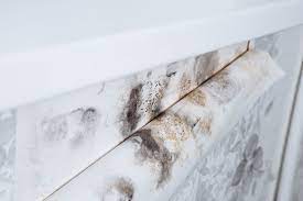 How To Remove Mould From Wallpaper