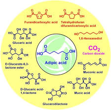 Adipic Acid