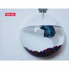 Acrylic Wall Mounted Fish Bowl