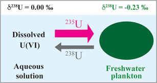 Uranium Isotope Fractionation 238u