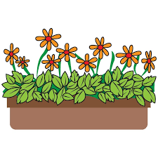 Flowers Bloom And Thrive In Pots Icon