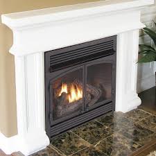 Duluth Forge Dual Fuel Ventless Gas Fireplace Insert 32 000 Btu Remote Control Fdf400rt Zc Black