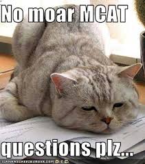 How Many Full Length Mcat Tests Should