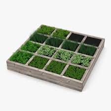 Vegetable Garden 3d Model