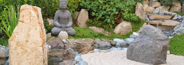 Zen Garden Cacti Landscapes Las Vegas