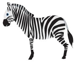 Zebra Icon African Wild Animal Zoo Symbol
