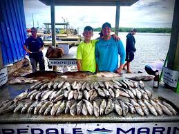 Gallery Straight Hook Fishing Charters