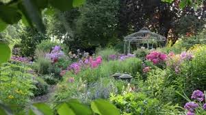 Perennial Border Stock Footage